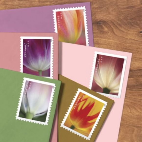 100βTulipβ Blossoms 2022 Forever Postage Stamps US Postal USPS Wedding Flowers - Picture 2 of 7